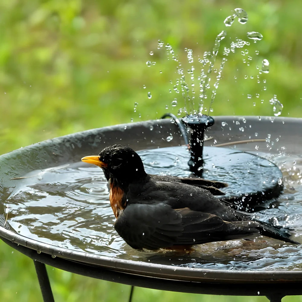 Solar Fountain Pump for Garden Ponds
