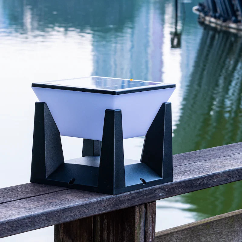 Solar Pathway Lights for Garden Walkways