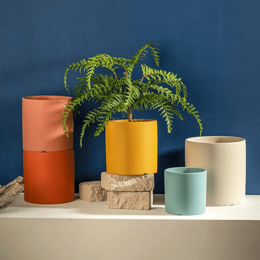 Ceramic Plant Pot With Saucer