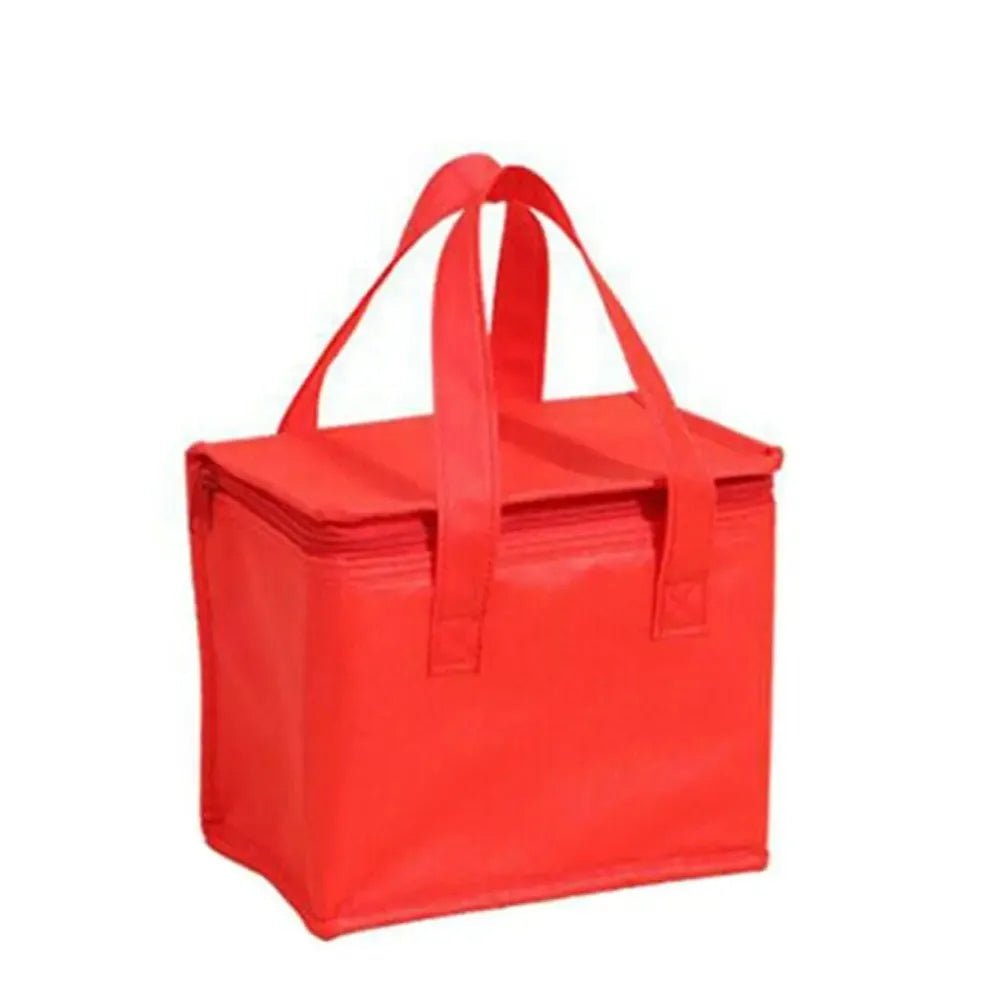 Portable Insulated Outdoor Cooler Bag