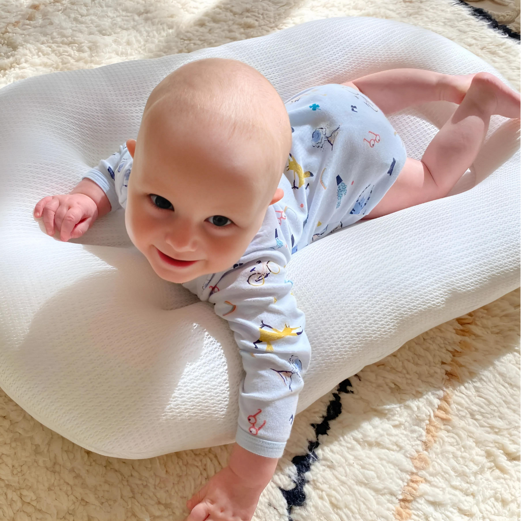 Pastel Baby Lounger Nest