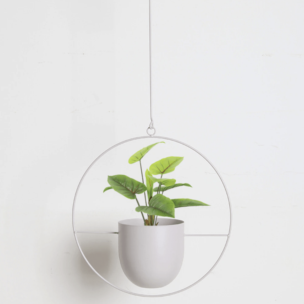 Wall Plant Hanger With Adjustable Chain