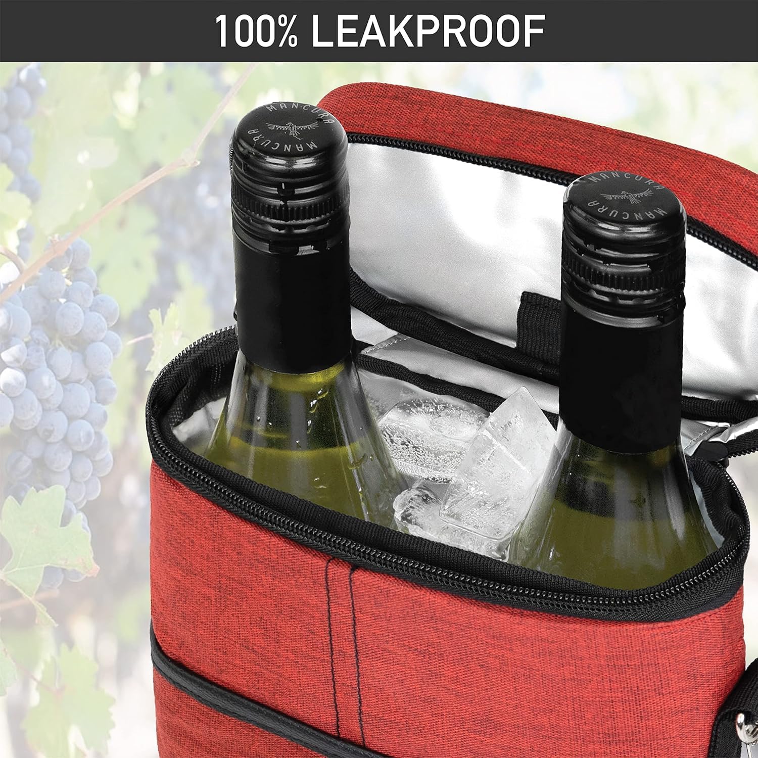Insulated 2-Bottle Wine Cooler Tote