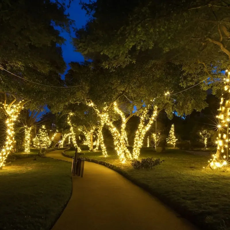 Solar Fairy String Lights for Garden Patio
